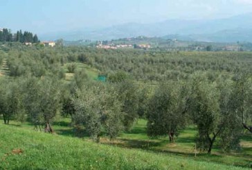 Protocollo d’intesa tra Città dell’olio e Lega Pesca