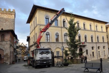 A Poggibonsi un albero di Natale di dieci metri