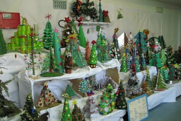 Spunta un bosco dentro la scuola materna di Poggibonsi