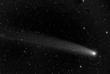 A Siena a guardare la cometa Lovejoy