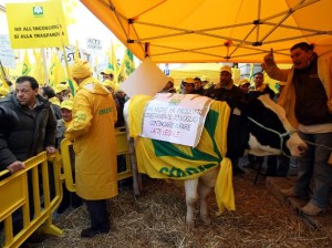 Manifestazione Coldiretti