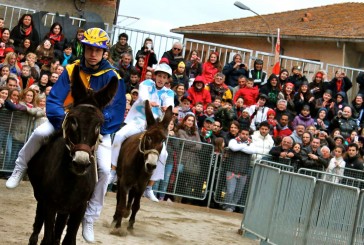 Torrita: Palio dei Somari, si presenta l’edizione 2017