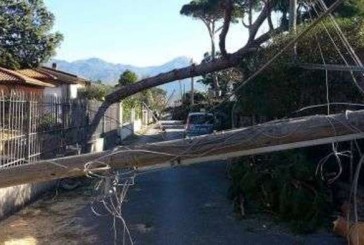 Chiusi: il Comune invita a segnalare i danni subiti dal vento del 5 marzo