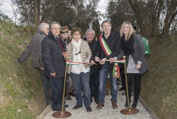 Chiusi: la tomba del Colle fa incetta di visitatori