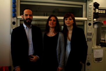 VisMederi chiude il 2014 con un fatturato di 1,6 milioni di euro
