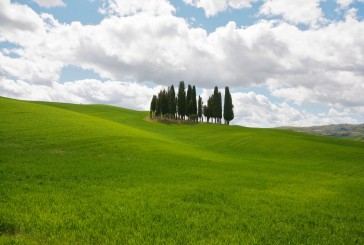 Vento di creta – 1943 – Un amore in Val d’Orcia