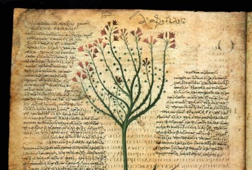 Le virtù delle piante medicinali: incontro presso l’Associazione Archeosofica