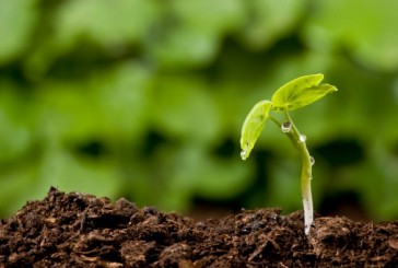 Montalcino: l’agricoltura di precisione nel progetto Oenosmart