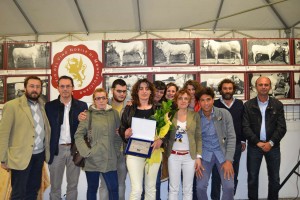 Edizione 2014