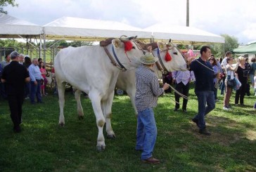 Si conclude la Fiera dell’Agricoltura delle Tre Berte