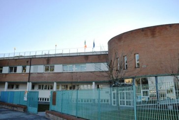 Il cigno e la ranocchia: racconti di donne di San Miniato