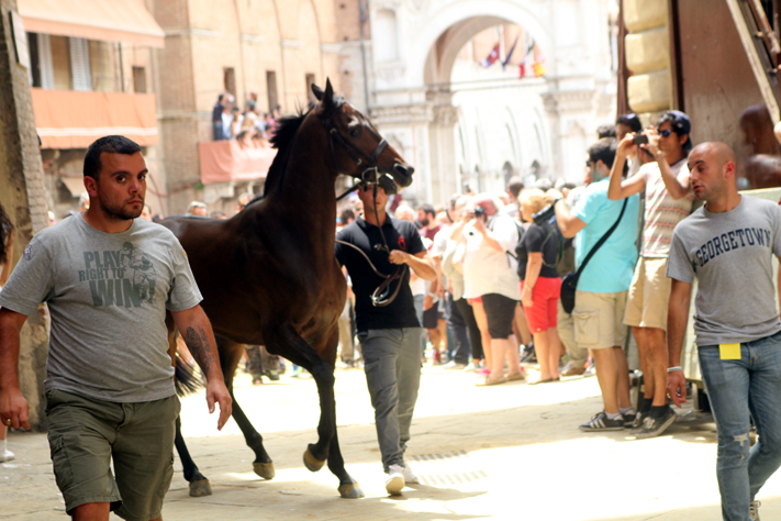 Palio di Siena, prima prova: vince la Civetta