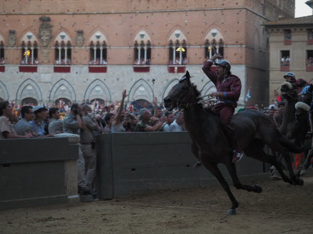 E’ Torre: grande vittoria di Brio e Morosita Prima