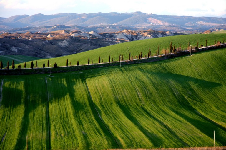 Bando da 9 milioni per progetti di agricoltura sociale