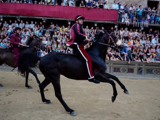 Palio di Siena, quarta prova: vince la  Civetta