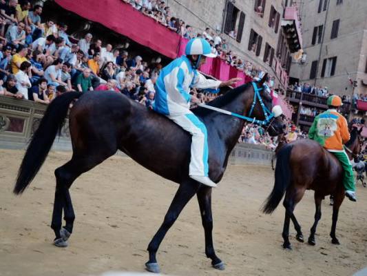 Palio di Siena, la “provaccia”: vince l’Onda