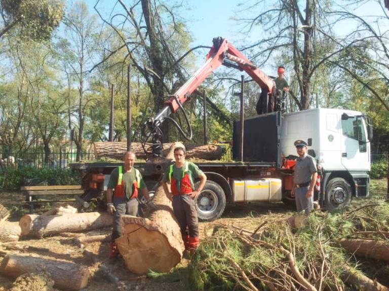 Nubifragio a Firenze: in azione i boscaioli del Corpo Forestale