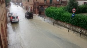 CassiaMonteroni1_24agosto