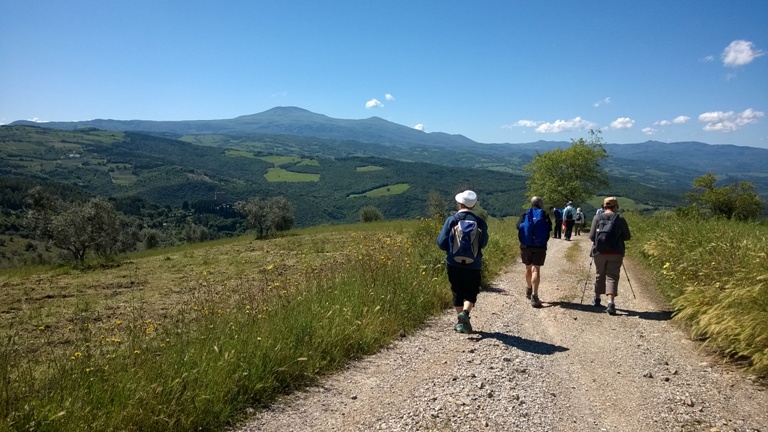 Di corsa tra i paesaggi autunnali della Valdichiana con “Ecodamar”