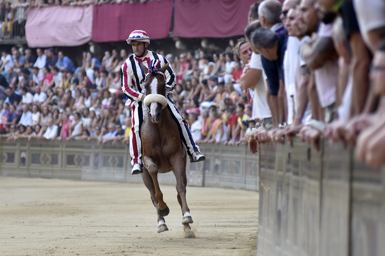 Palio di Siena: all’Istrice la prima prova