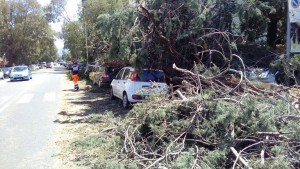 immagini dei soccorsi a Rovezzano 3