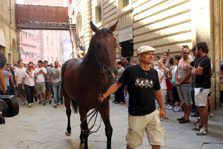 Verso la stalla…