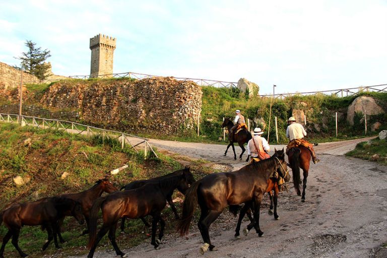 A Siena rivive il rito della transumanza dal 16 al 17 settembre