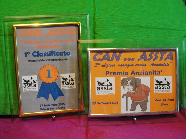 “Can…Assta”: rassegna canina all’Orto de’ Pecci