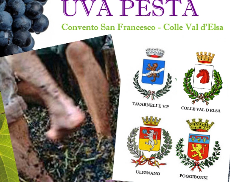 Uva Pesta: sfida tra Colle, Poggibonsi, Tavarnelle e Ulignano