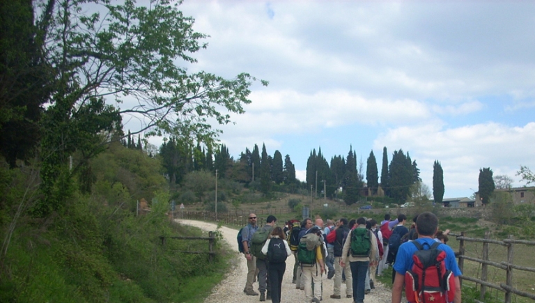 Radicondoli: una domenica nella Riserva di Cornocchia tra escursioni e musica