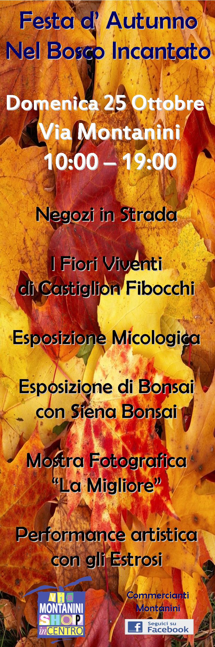 In via Montanini è di nuovo “Festa d’autunno”