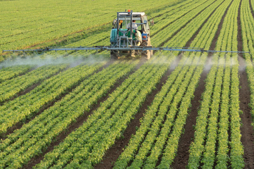 “Serve maggiore chiarezza sull’uso dei fitofarmaci in agricoltura”