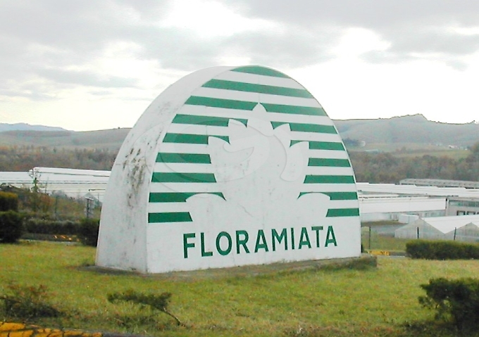 Floramiata: incontri in Regione con sindacati e istituzioni