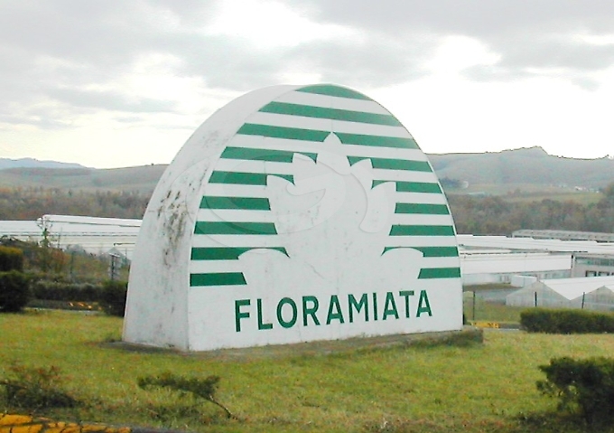 Floramiata verso l’obiettivo carbon free grazie alla geotermia