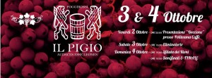pigio