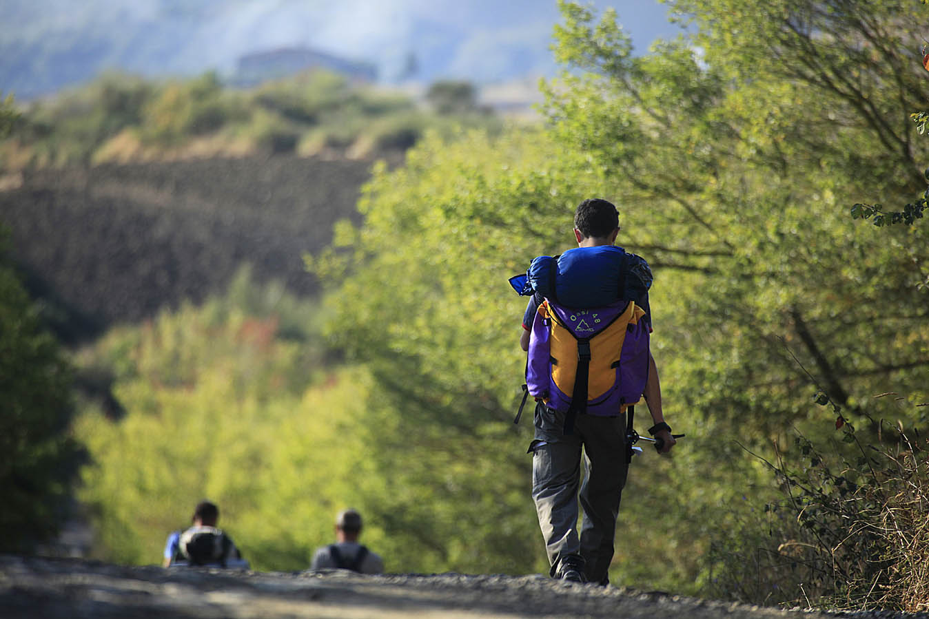 Verso il Giubileo con la rinascita della Via Francigena