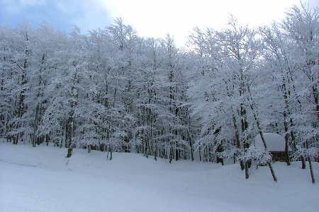 Prima neve sull’Amiata