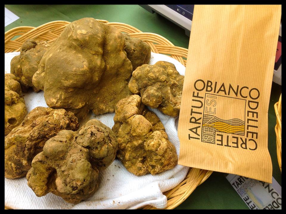 La Mostra del tartufo delle Crete fra musica, solidarietà ed eventi
