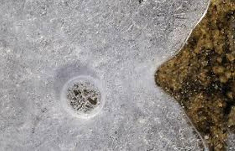 14 Febbraio: “Sciogliamo il ghiaccio” all’Associazione Tortuga-Spazio Libero