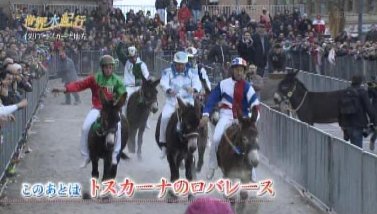 Il Palio dei Somari vola in Estremo Oriente, su Nippon Television