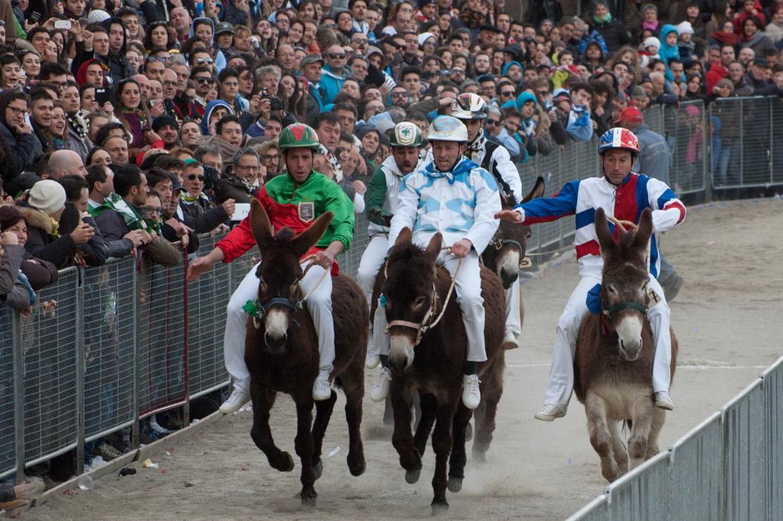E’ ufficiale il programma del Palio dei Somari di Torrita 2016