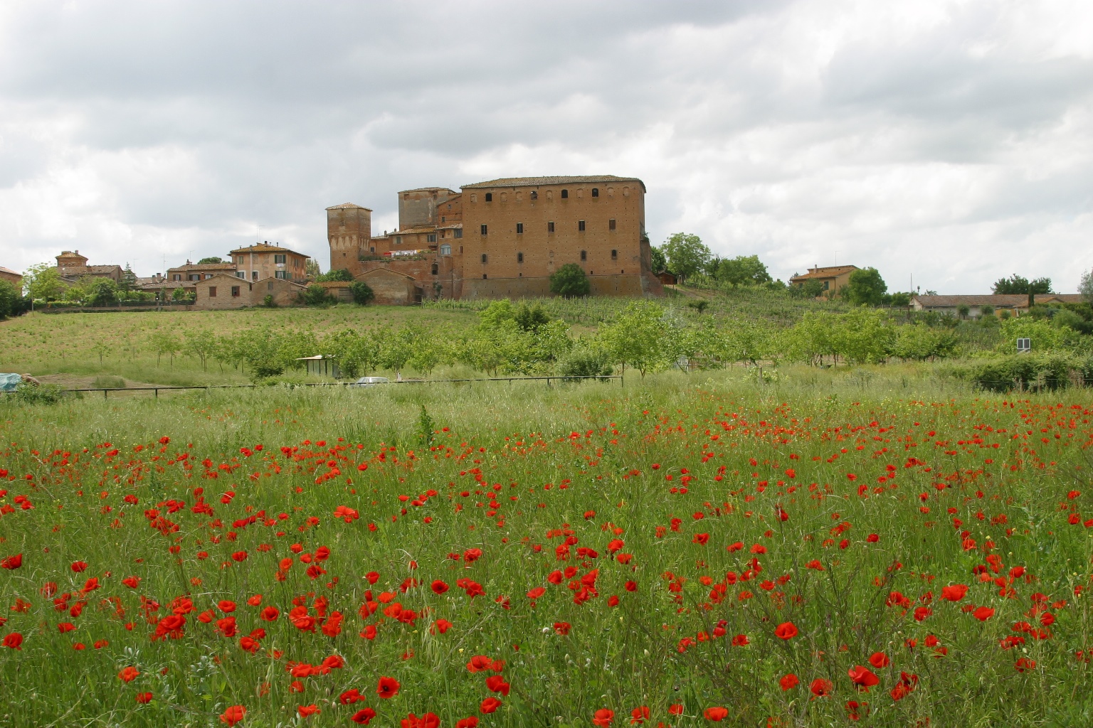“Siena In Cammino”: ad aprile un mese di eventi tra Francigena e Giubileo