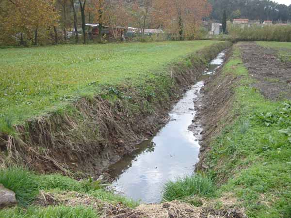 La Regione avvia la manutenzione dei corsi d’acqua principali