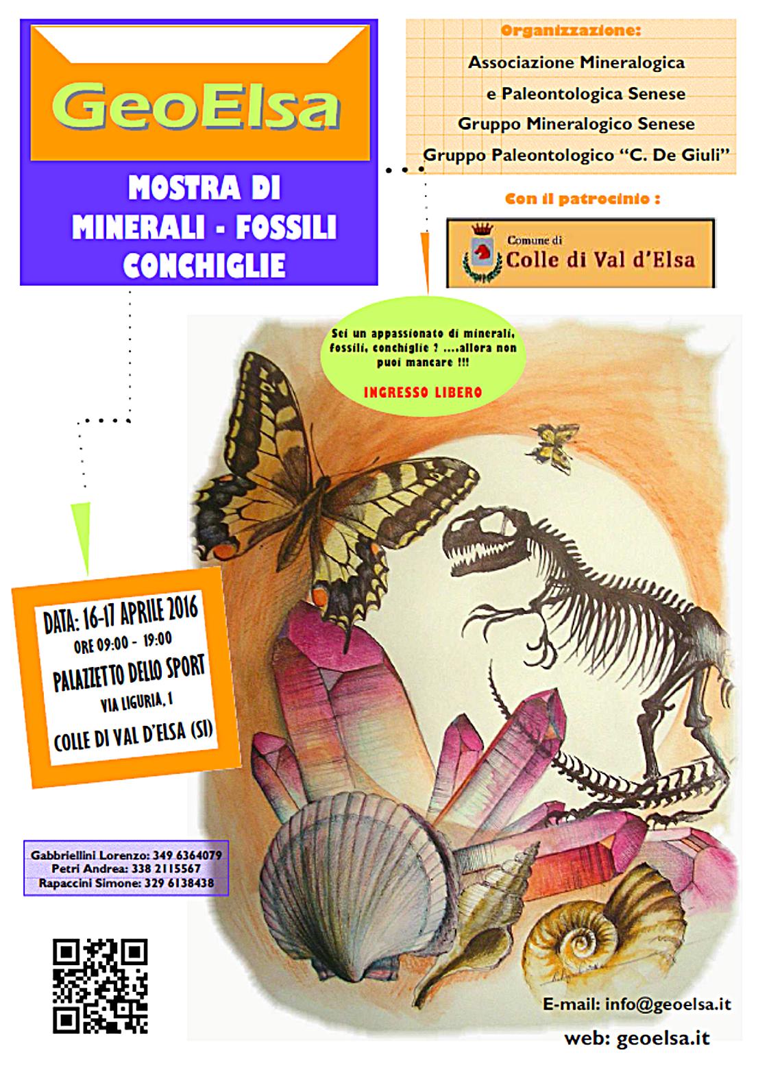 Colle: torna “Geoelsa”, mostra di minerali, fossili, pietre preziose e conchiglie