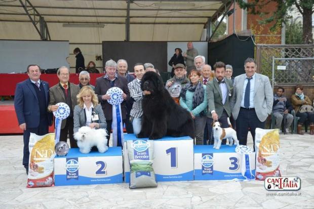 56^ esposizione canina a Ponte a Tressa