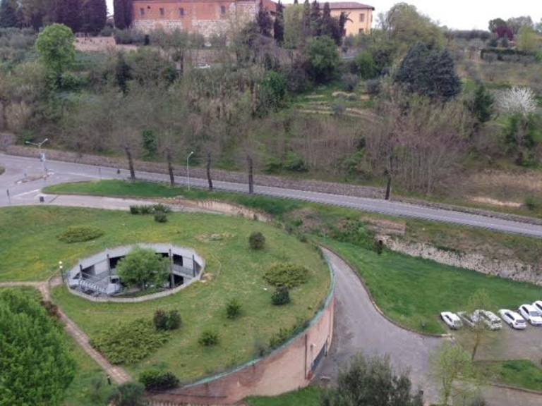 Taglio di piante pericolanti a Colle: via Livini chiusa al traffico