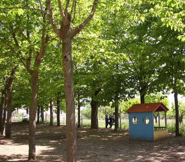 Colle: scuola di Sant’Andrea verso l’ampliamento