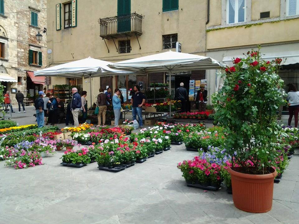 Sarteano: 8 maggio con i fiori nel centro storico