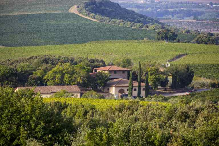 Decanter premia Il Brunello di Montalcino DOCG Sassocheto 2011 Il Grappolo