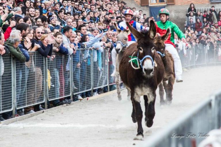 Torrita: il 4 giugno Palio straordinario dei Somari